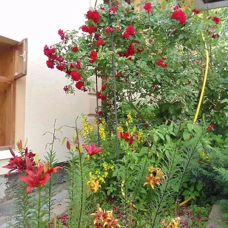 Guest house U Lesi Yaremche