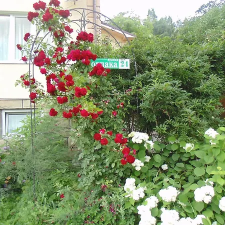 U Lesi Guest house Yaremche