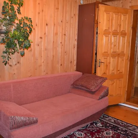 Guest house U Lesi *